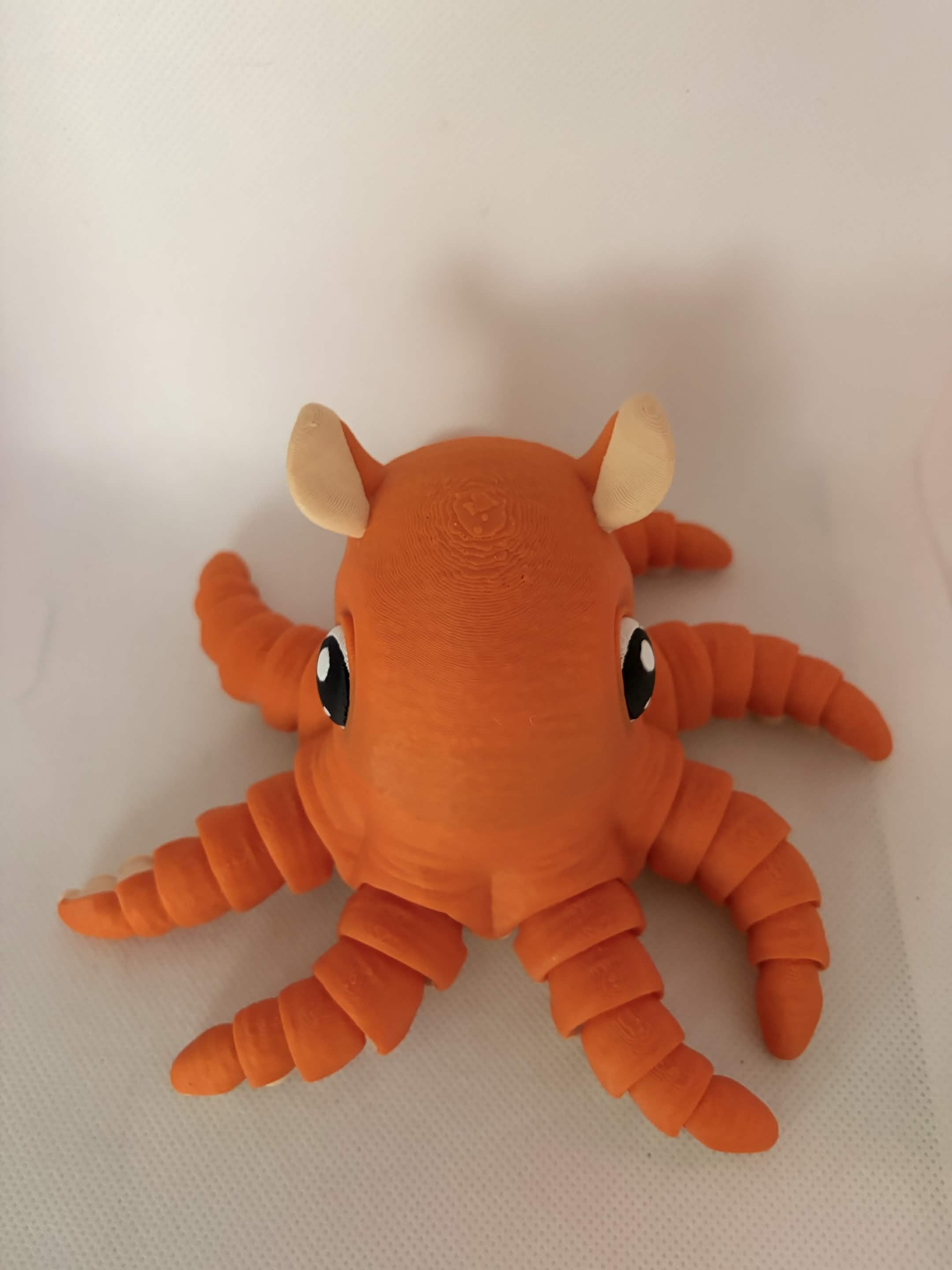 Octo
