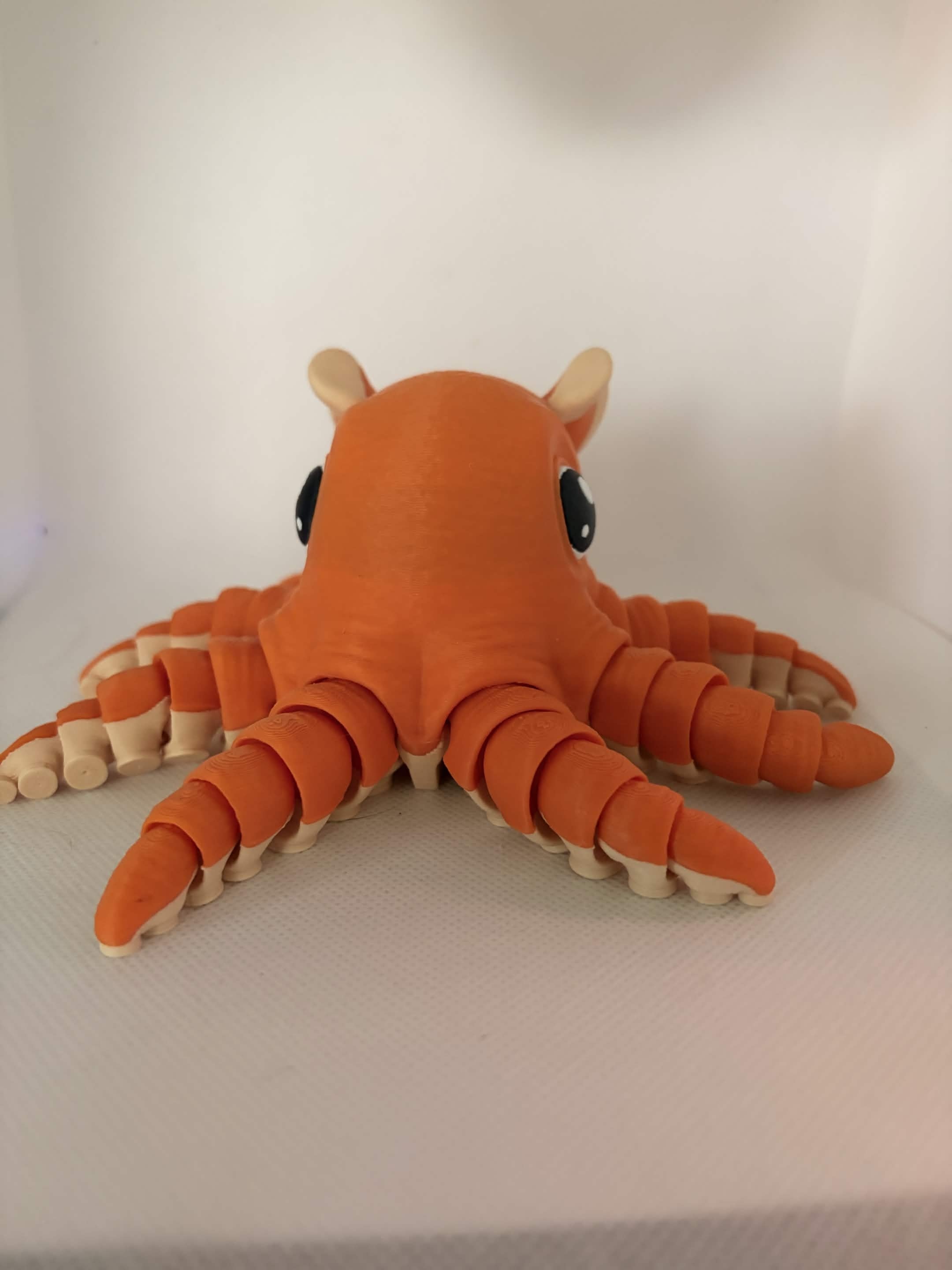 Octo