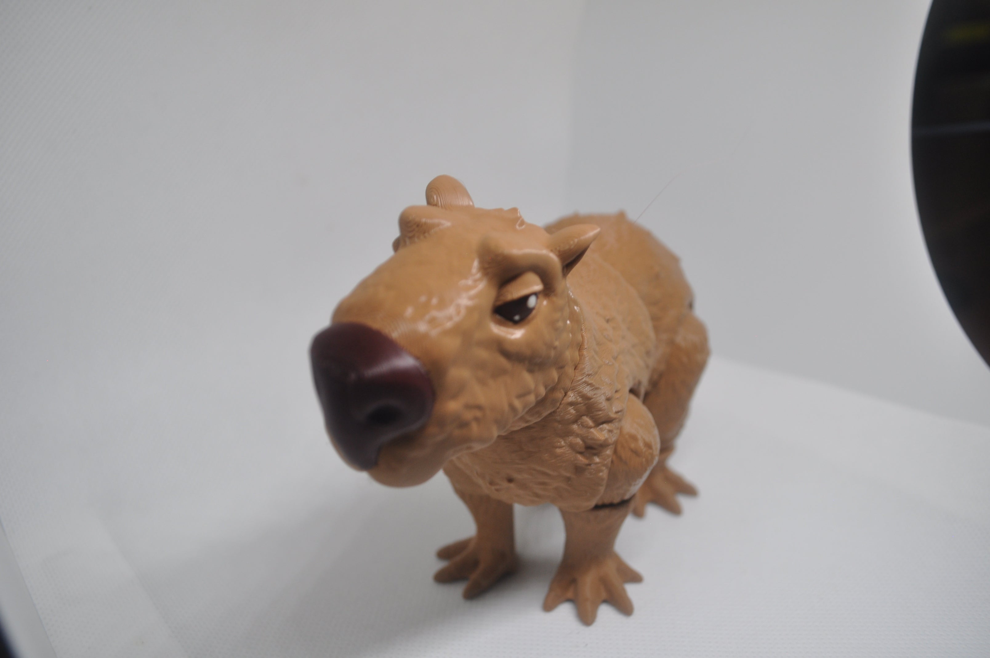Capybara