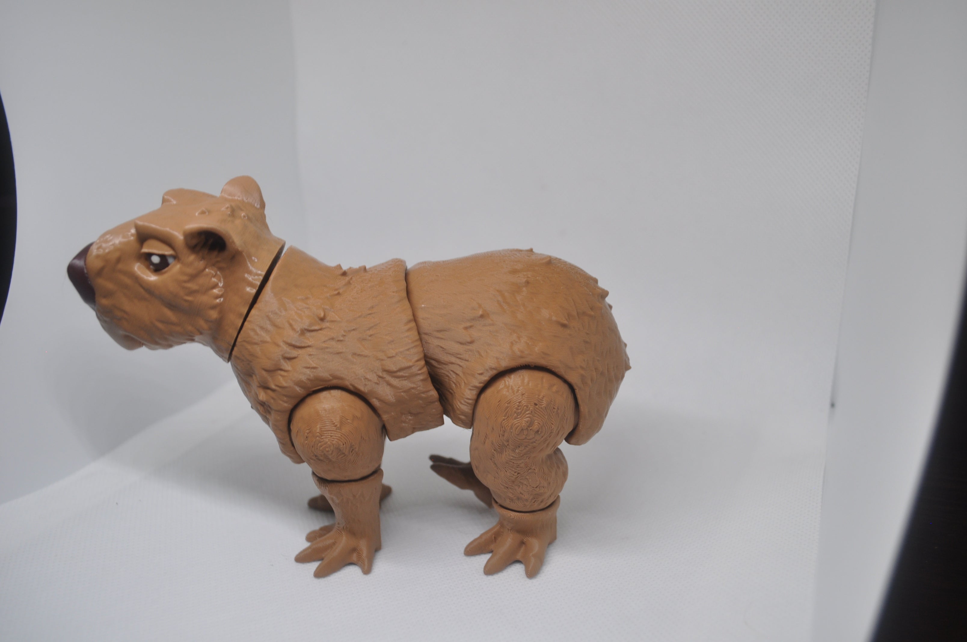 Capybara