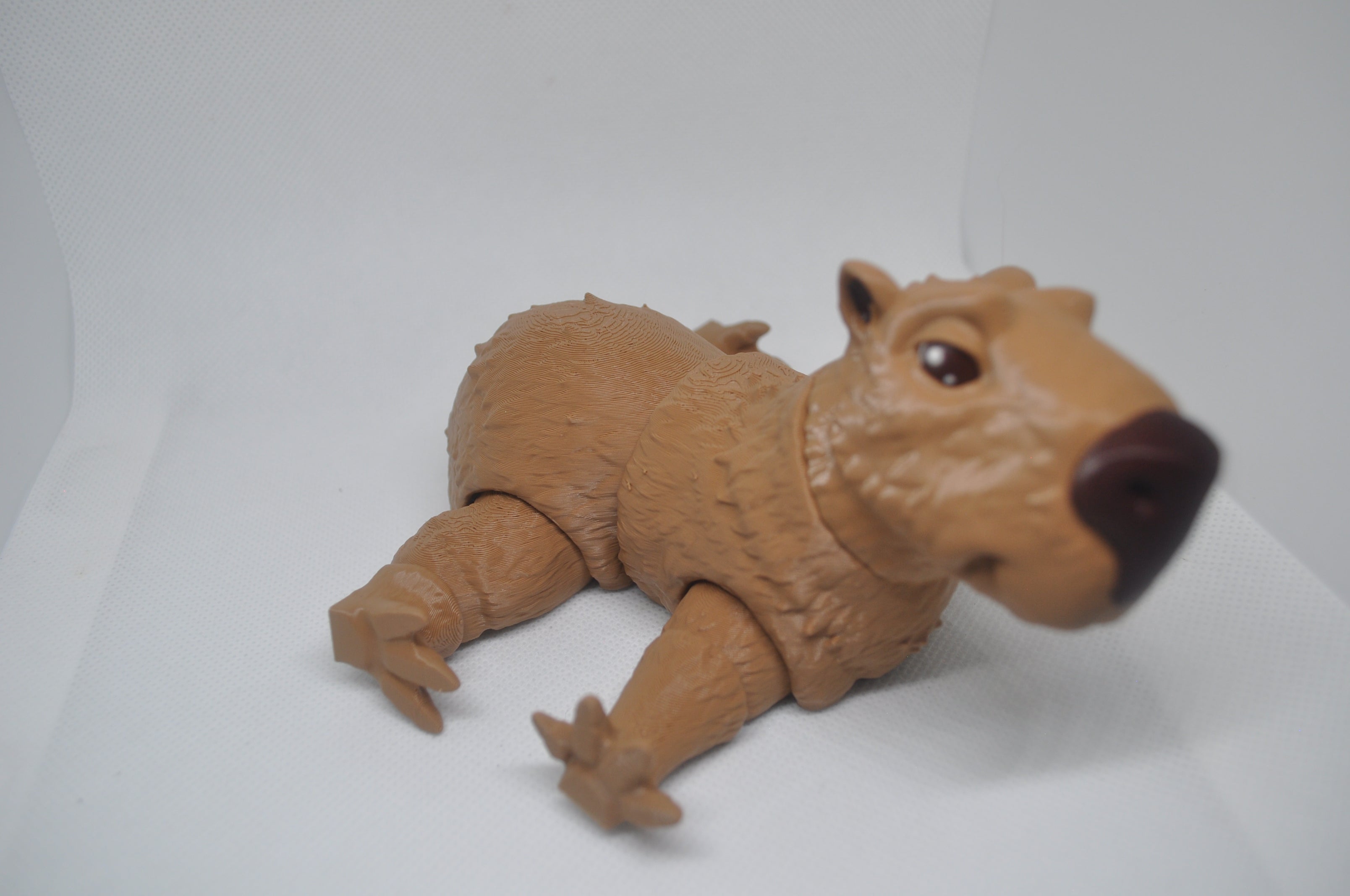 Capybara