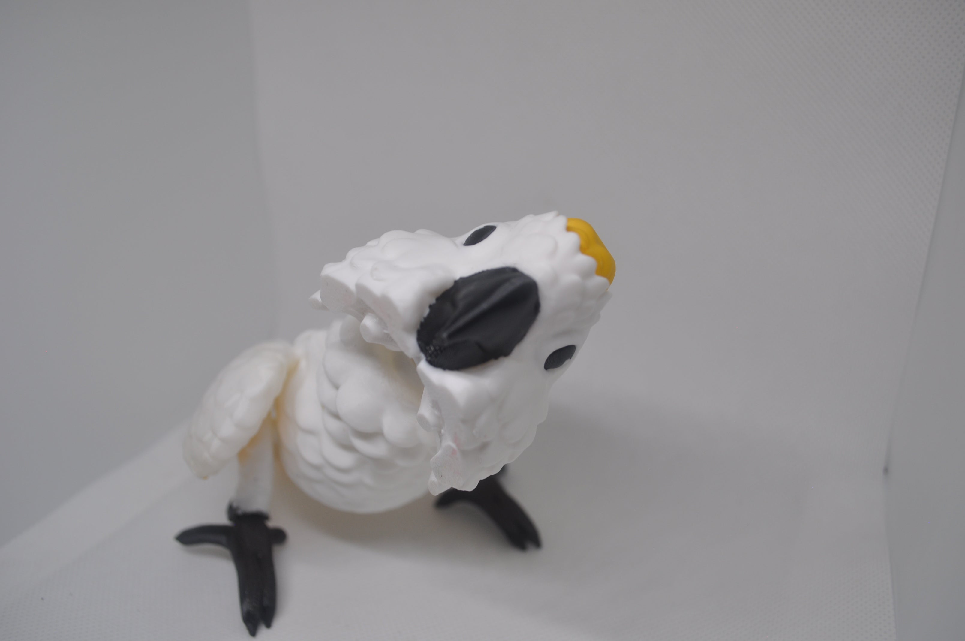 Cockatoo