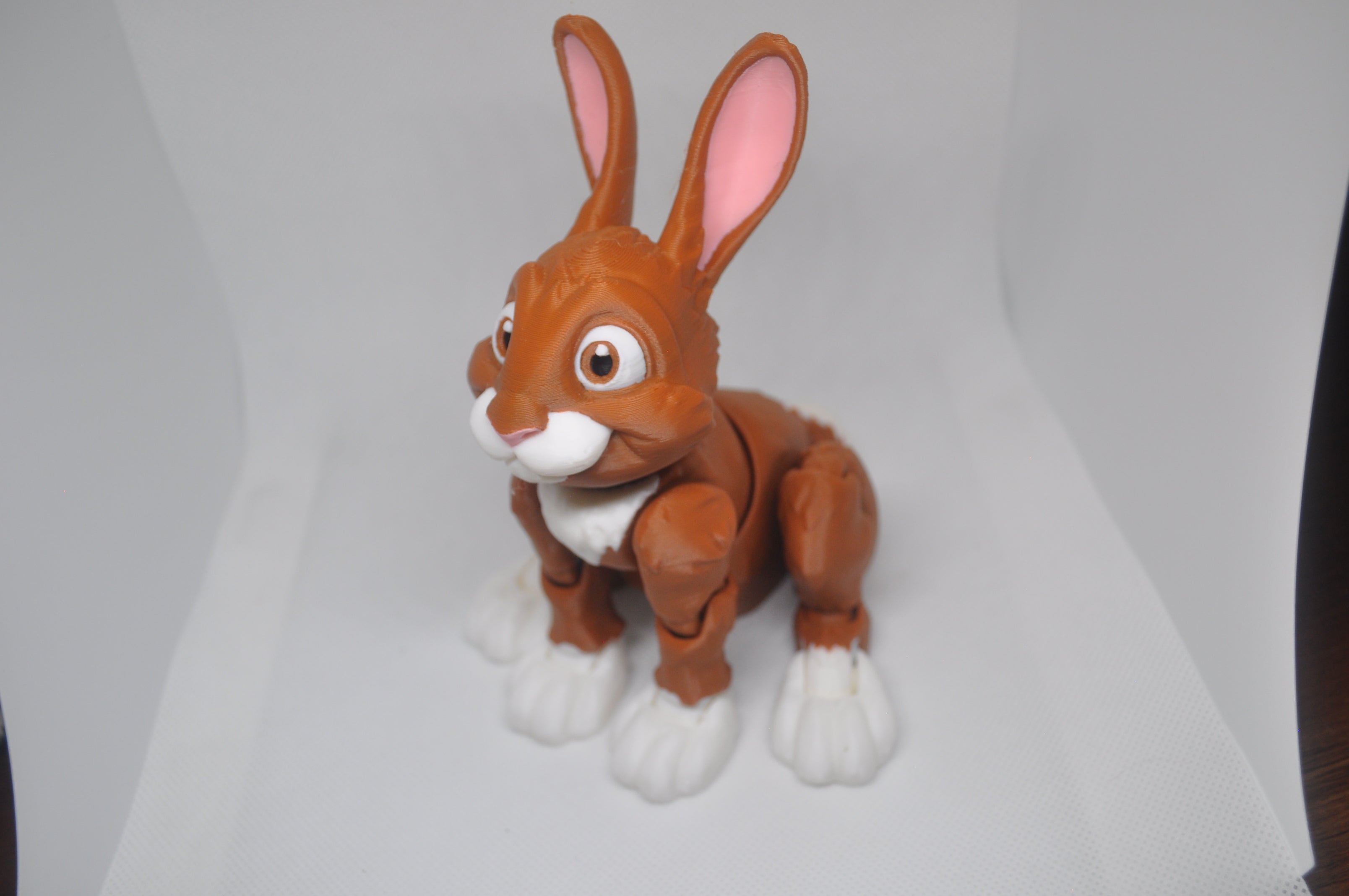 Rabbit-Hopper Bunny