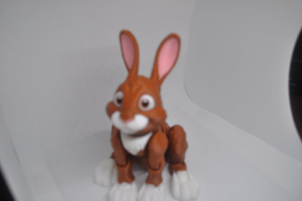 Rabbit-Hopper Bunny