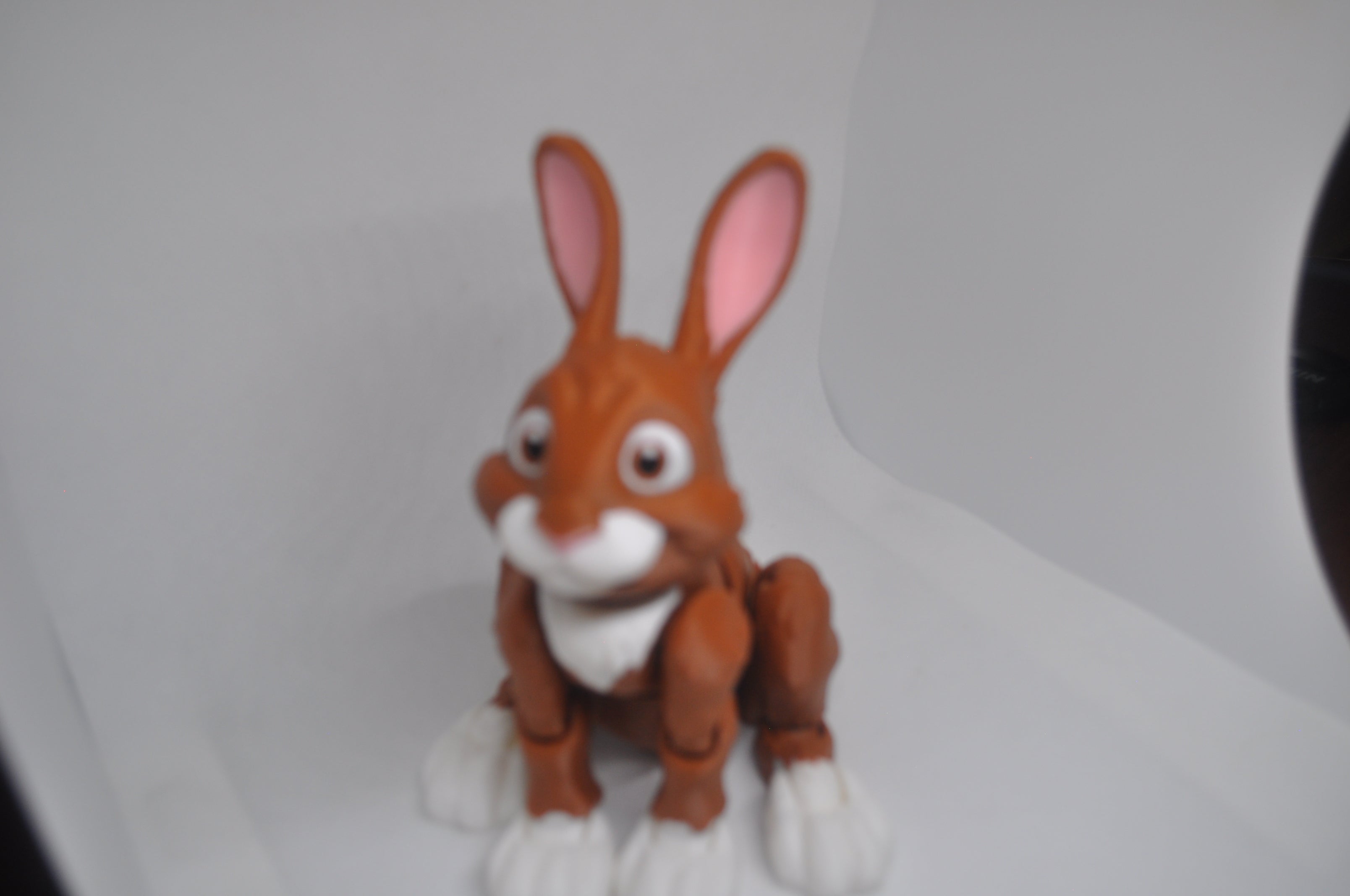 Rabbit-Hopper Bunny