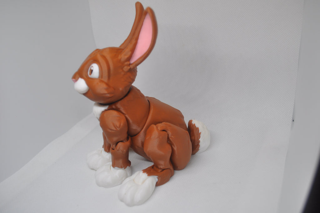 Rabbit-Hopper Bunny