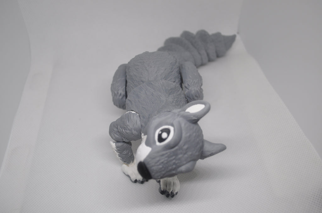 Sqily the Squirrel