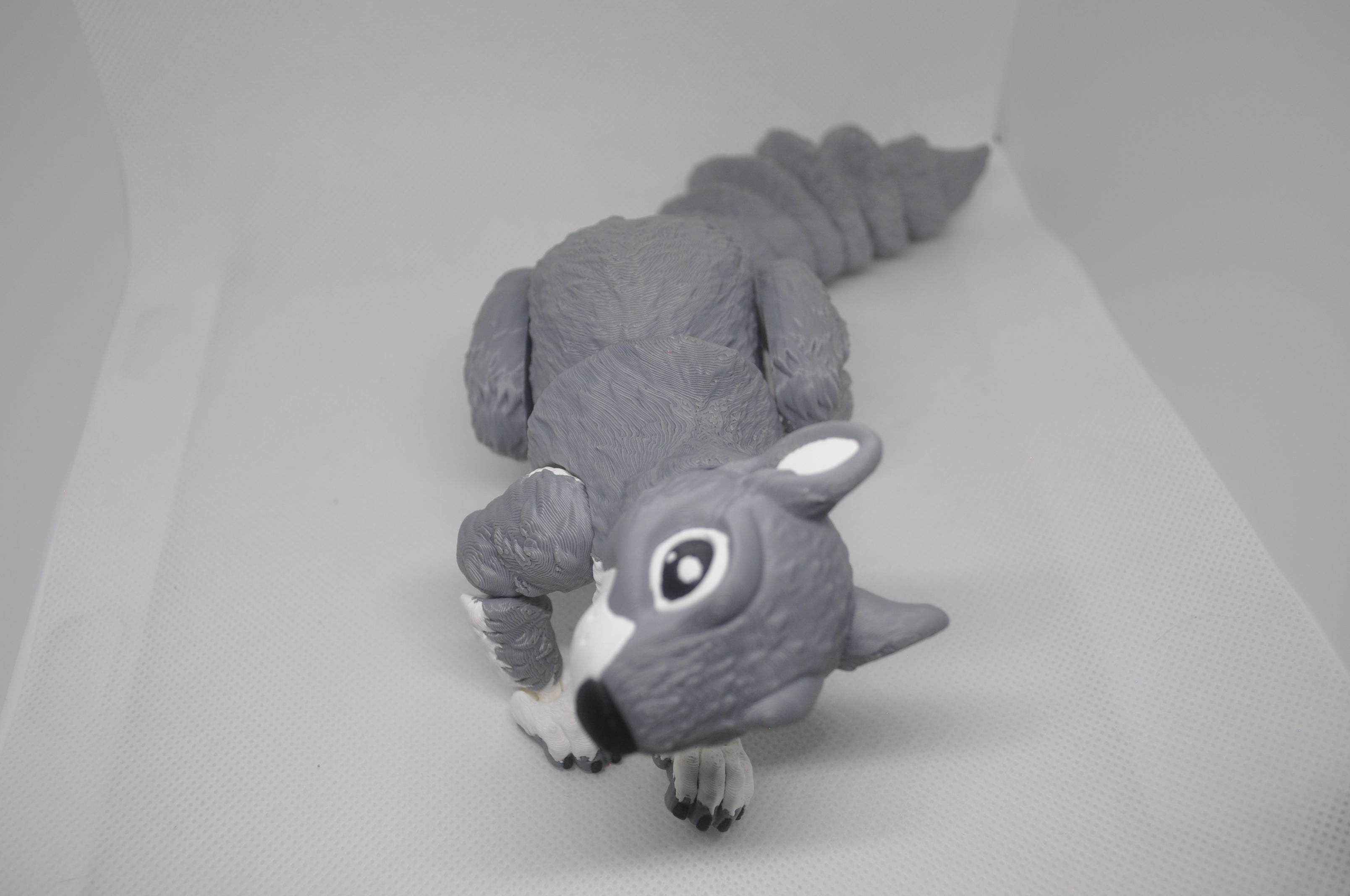 Sqily the Squirrel
