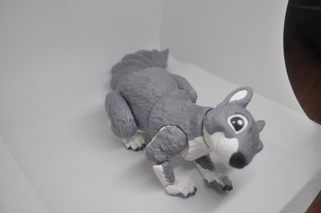 Sqily the Squirrel