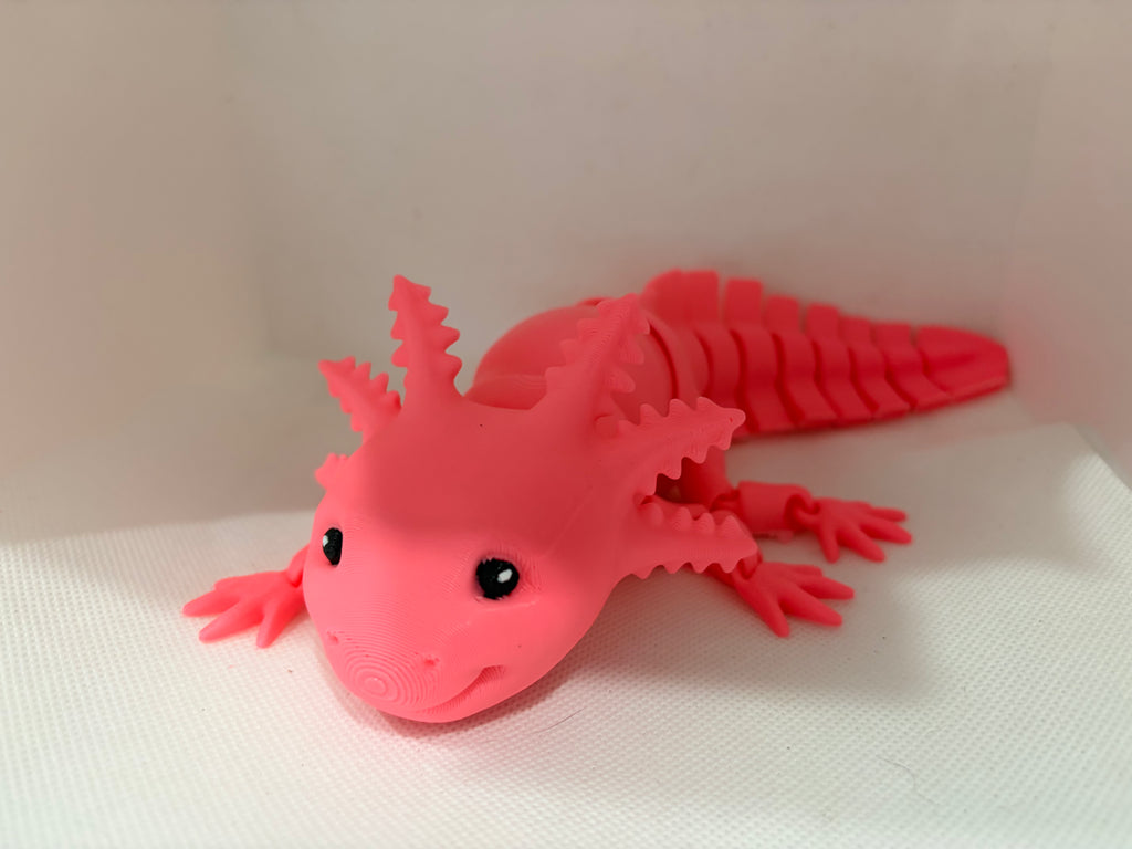 Axolotl ￼