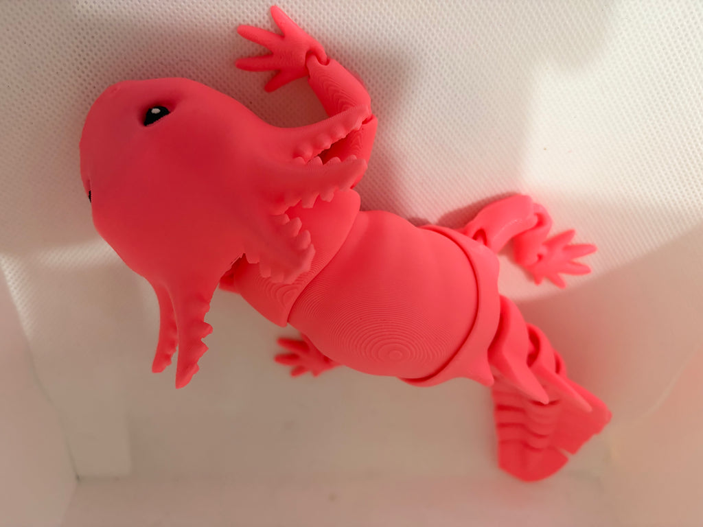 Axolotl ￼