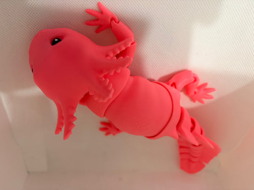Axolotl ￼