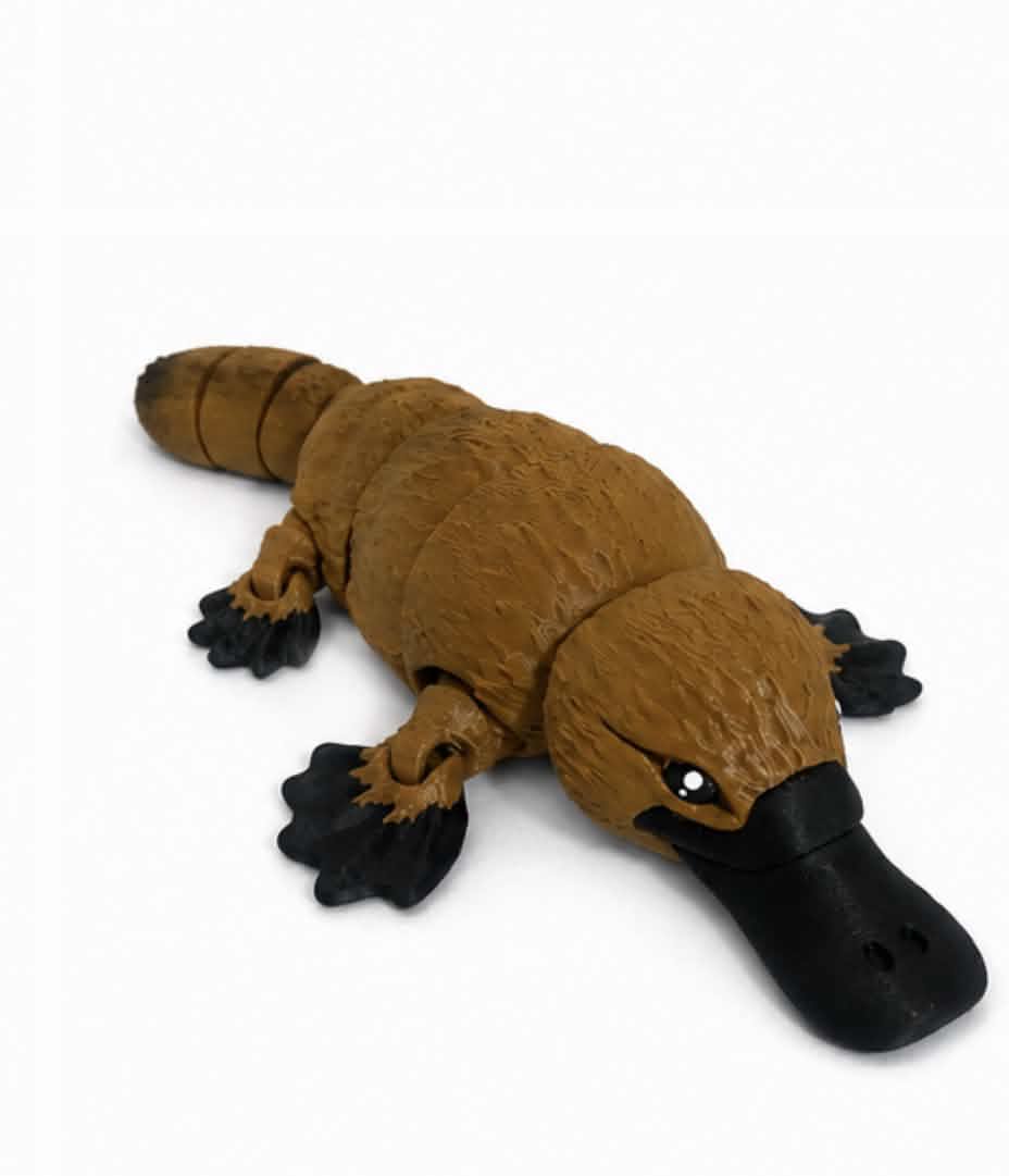 platypus