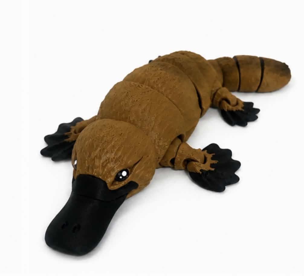 platypus
