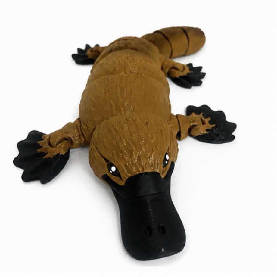 platypus