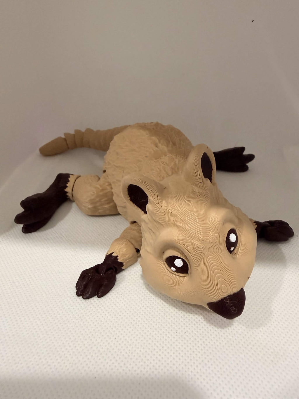 quokka
