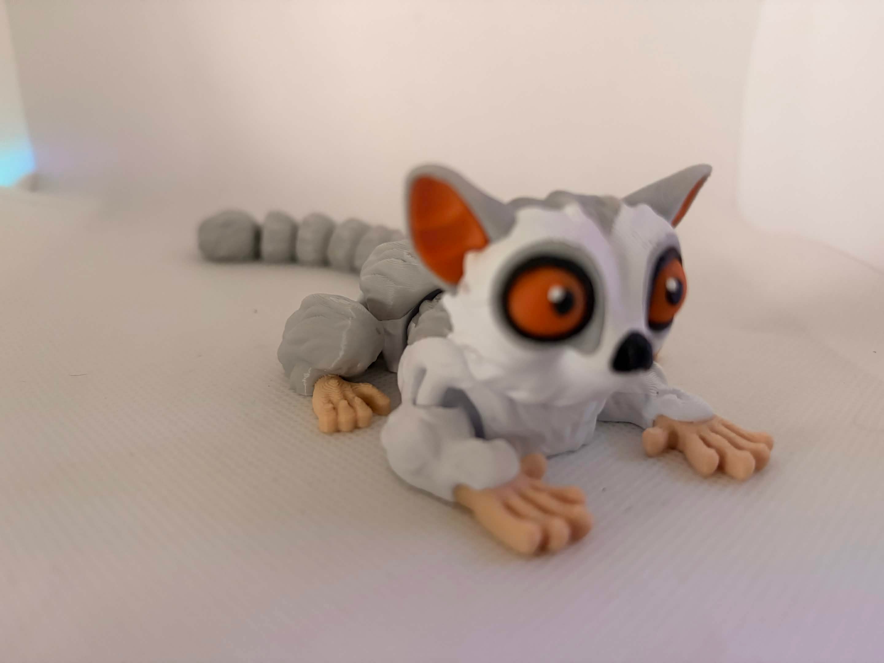 Bush baby
