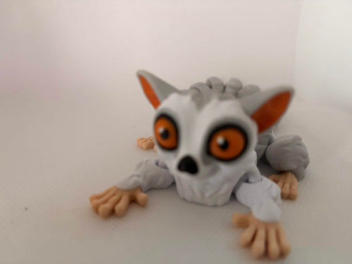 Bush baby