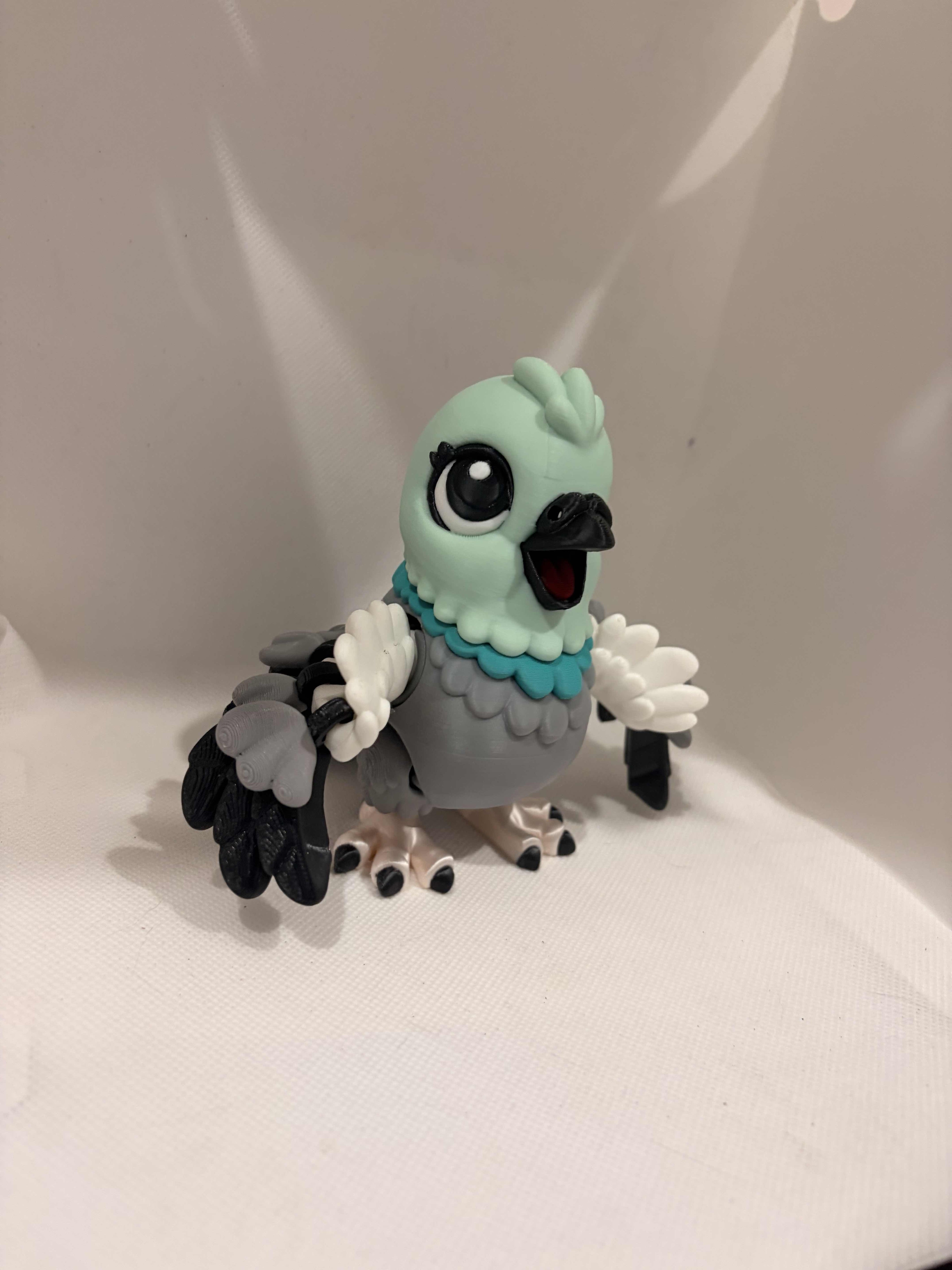 pigeon