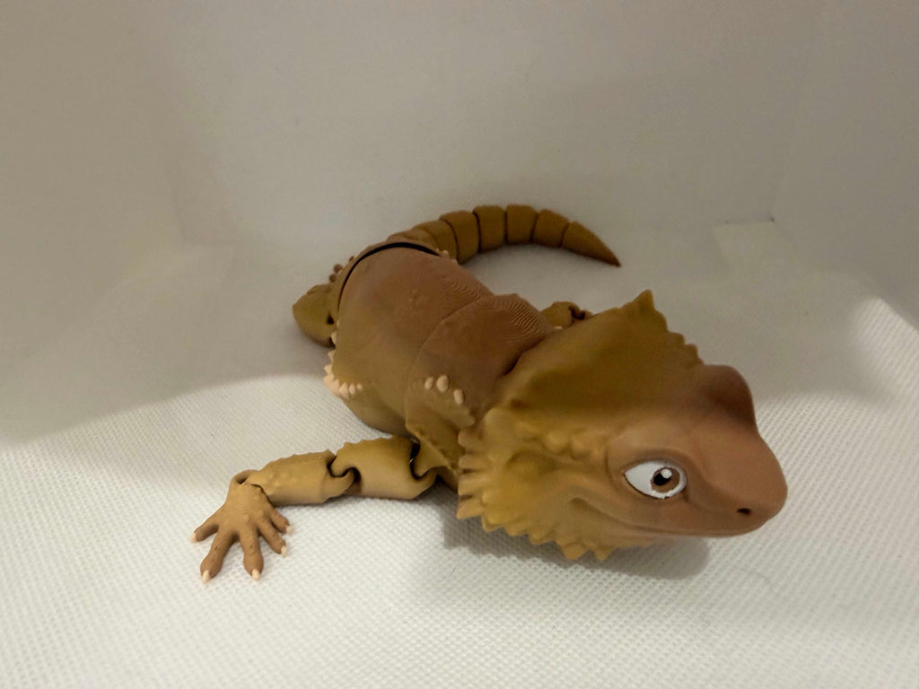 roxy the bearded dragon