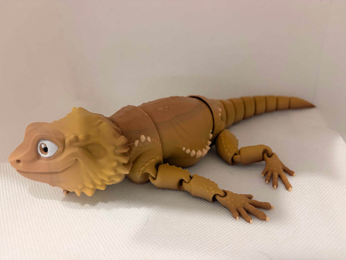 roxy the bearded dragon