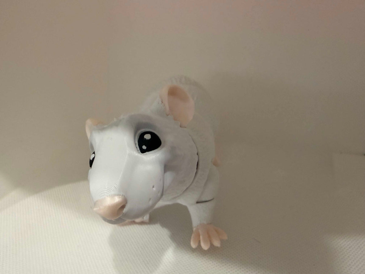mouse