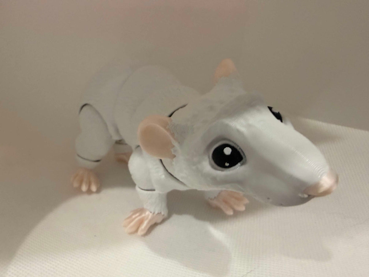mouse