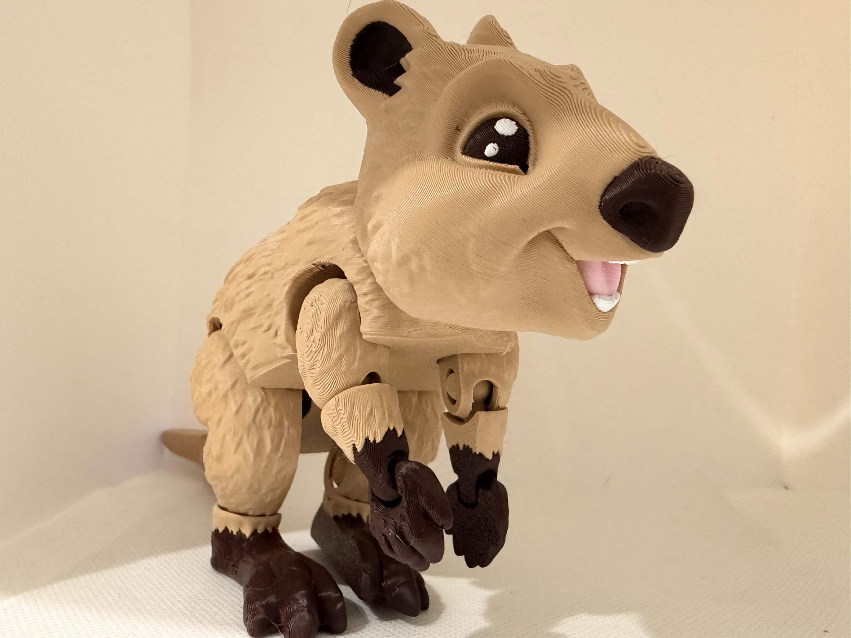 quokka